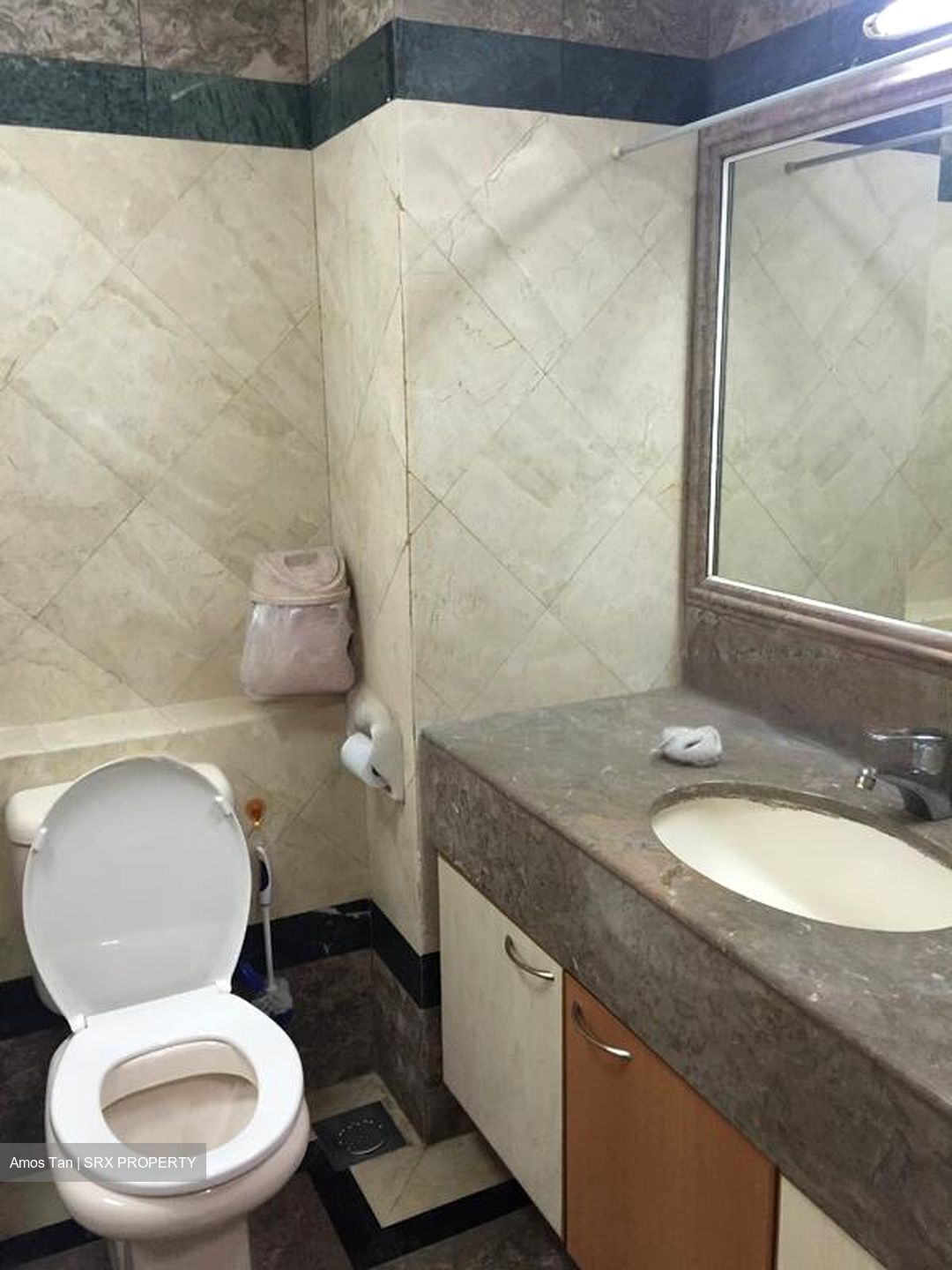 Symphony Heights (D21), Condominium #458567321